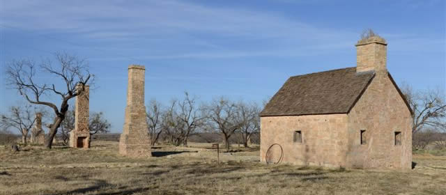 Still standing among the mesquite trees.