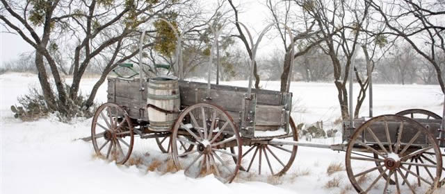 Wagon in Winter